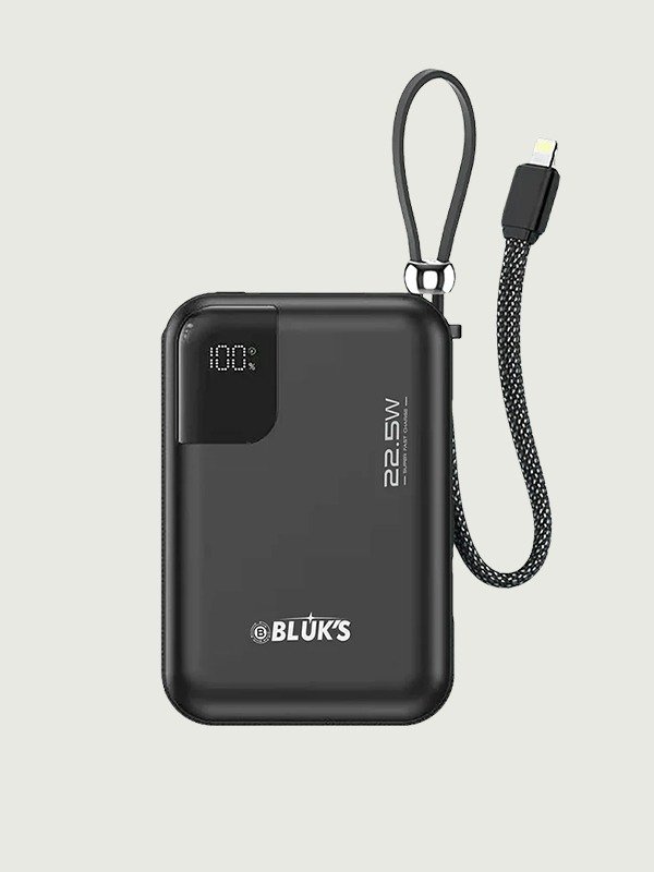BX-308 SwiftCharge Power Bank 20000mAh