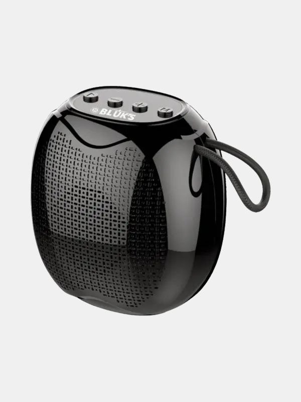 BX-171 RockStar Rechargeable Bluetooth Speaker