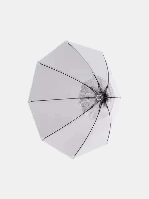 BX-70cm Octagon Softbox Kit with Remote – Portable Studio Light