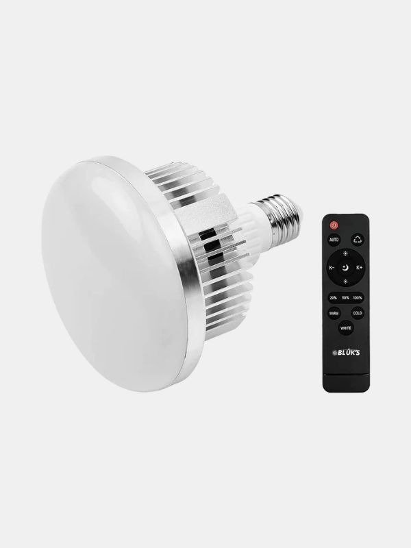 BX-5070 Softbox Kit with Stand (50×70cm) – Remote Controlled LED Light